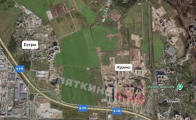 Жителям Мурино показали, как город менялся с 2009 года