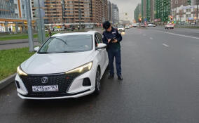 Всеволожские сотрудники ГАИ провели беседы с водителями и пешеходами