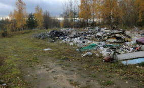 В Разметелево ликвидированы незаконные свалки