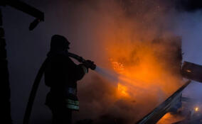 Спасатели потушили баню в Рахьинском поселении