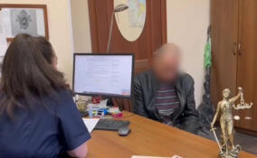 Мужчину осудили за убийство под Всеволожском 14 лет назад