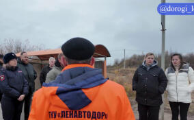 Комиссия проверила дорогу между Новой Пустошью и Невской Дубровкой