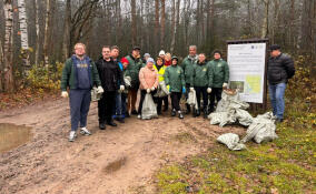 На Тохколодском озере провели субботник