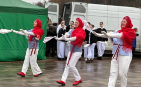 В Кудрово и Янино-1 отпраздновали День народного единства