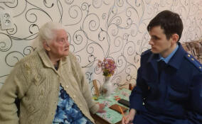 Ветерану ВОВ из Невской Дубровке восстановили отопление