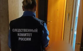 Жительнице поселка им. Свердлова предъявили обвинения в убийстве сожителя