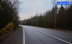 На Южном шоссе под Всеволожском обновили асфальт