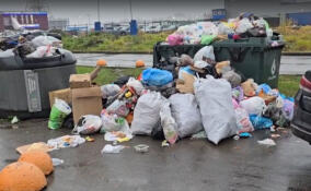 В Мурино пожаловались на переполненные помойки