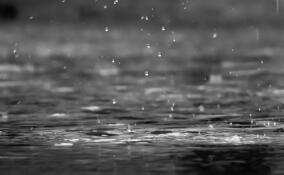 Во Всеволожске и Мурино ожидается дождливая погода