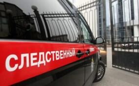 СК проводит проверку после нападения собак на женщину в СНТ Всеволожского района