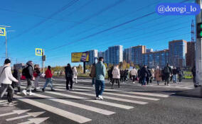 В Мурино продолжают строить новую дорогу