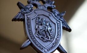 СК продолжает расследование убийства женщины во Всеволожске