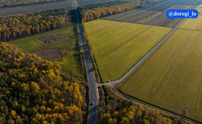 Рабочие обновили асфальт между поселком им. Свердлова и Всеволожском