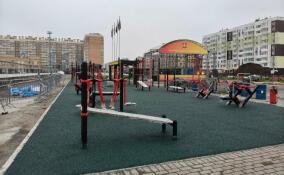 Строительство спортивной площадки в Янино-1 подходит к концу