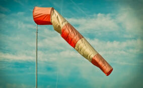 Жителей Мурино предупредили о сильном ветре 13 ноября