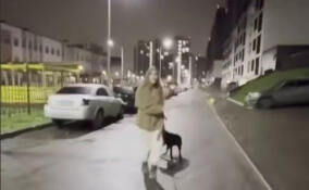 В Мурино женщина натравила собаку на прохожего из-за замечания