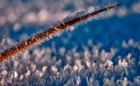 Во Всеволожском районе выпадет снег