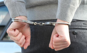 В Мурино задержали мужчину за поджог входной двери