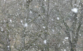 В субботу во Всеволожске будет холодно и снежно