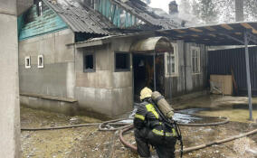 Пожар уничтожил частный дом во Всеволожске