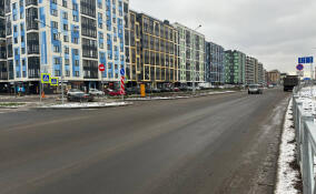 В Янино-1 завершается реконструкция Голландской улицы