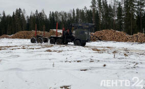 В Агалатовском поселении готовят новые участки для многодетных семей
