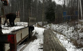 Линии освещения в Юкках начнут устанавливать уже в ноябре