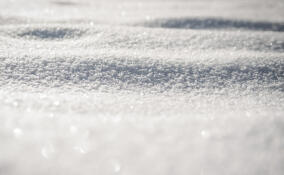 Во Всеволожске ожидается снежная погода