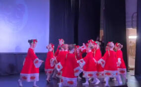 Последний этап конкурса «Заневский лучик» проходит в Янино-1