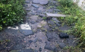 Жители Мурино пожаловались на разбитую пешеходную дорожку