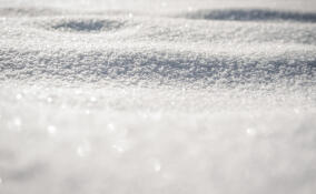 Во Всеволожске 21 ноября ожидается мокрый снег