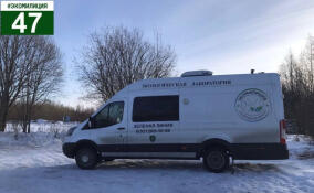 Госэконадзор провел проверку в Янино-1 после жалоб местных жителей