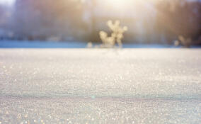 В Мурино и Кудрово объявлен «желтый» уровень опасности объявили