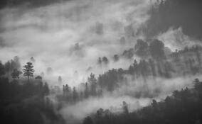 Во Всеволожске 22 ноября ожидается туман