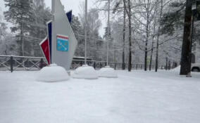 Всеволожский район засыпало снегом