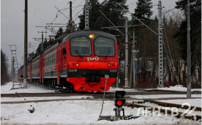 Поезд сбил человека на станции Всеволожская
