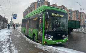 Между Янино и Кудрово начал курировать новый автобус