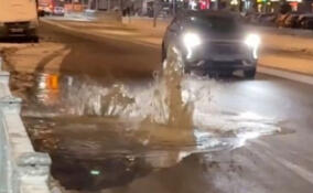 В Янино-1 прорвало трубу на Голландской улице