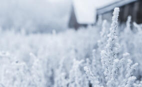 Во Всеволожске похолодает до -13 градусов