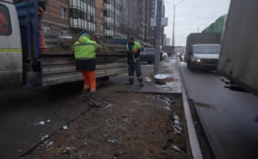 На Воронцовском бульваре в Мурино появятся новые пешеходные переходы