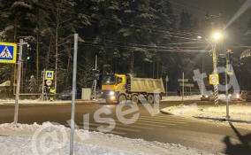 Во Всеволожске установили новые светофоры