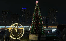 В Мурино зажгли главную елку