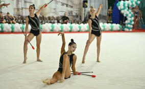 Гимнастки из Янино-1 завоевали золото на всероссийских соревнованиях «Аскона спорт»