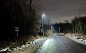 В Юкках заработала новая линия уличного освещения