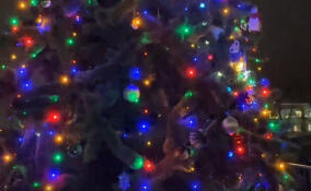 В Янино-1 зажгли гирлянды на новогодней елке