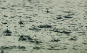 Во Всеволожске ожидается дождливая погода