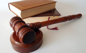 Двум всеволожским подросткам предъявили обвинение за нападение на человека