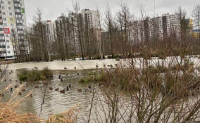 Во Всеволожске проверили воздух на месте разлива химикатов