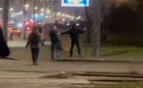 Дорожный конфликт перерос в драку возле Кудрово