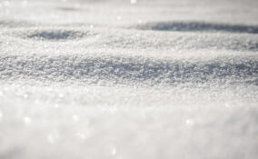 Дождь с мокрым снегом ожидаются во Всеволожске в четверг